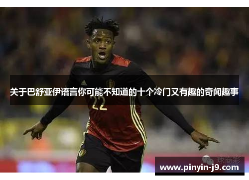 关于巴舒亚伊语言你可能不知道的十个冷门又有趣的奇闻趣事