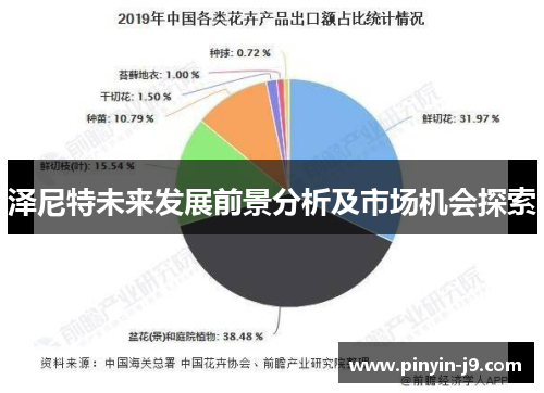 泽尼特未来发展前景分析及市场机会探索