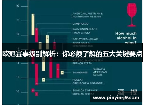 欧冠赛事级别解析：你必须了解的五大关键要点