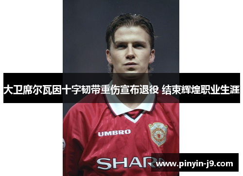大卫席尔瓦因十字韧带重伤宣布退役 结束辉煌职业生涯 大卫席尔瓦因十字韧带重伤宣布退役 结束辉煌职业生涯