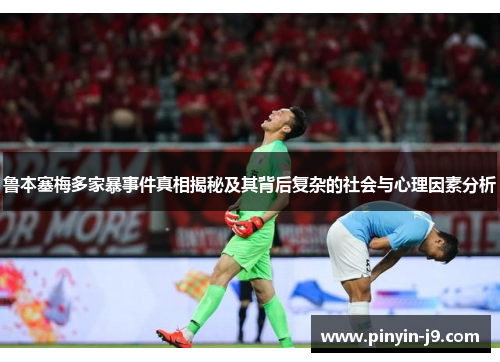 鲁本塞梅多家暴事件真相揭秘及其背后复杂的社会与心理因素分析