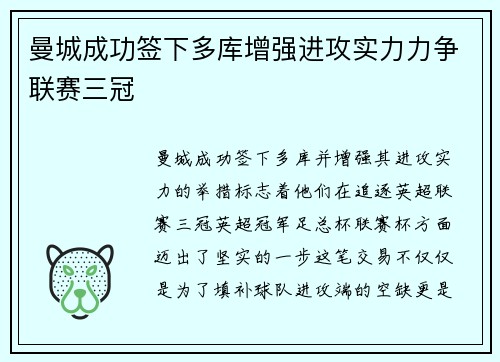 曼城成功签下多库增强进攻实力力争联赛三冠